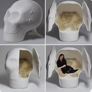 Skull shaped sensory deprivation chamber